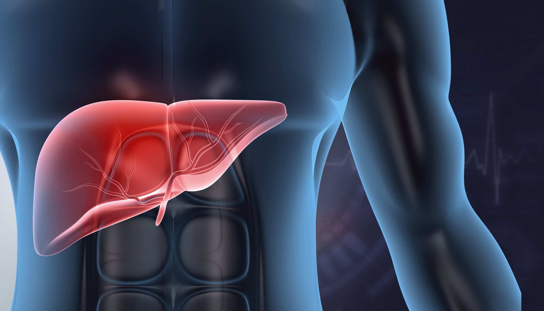 PFAS & Liver Health