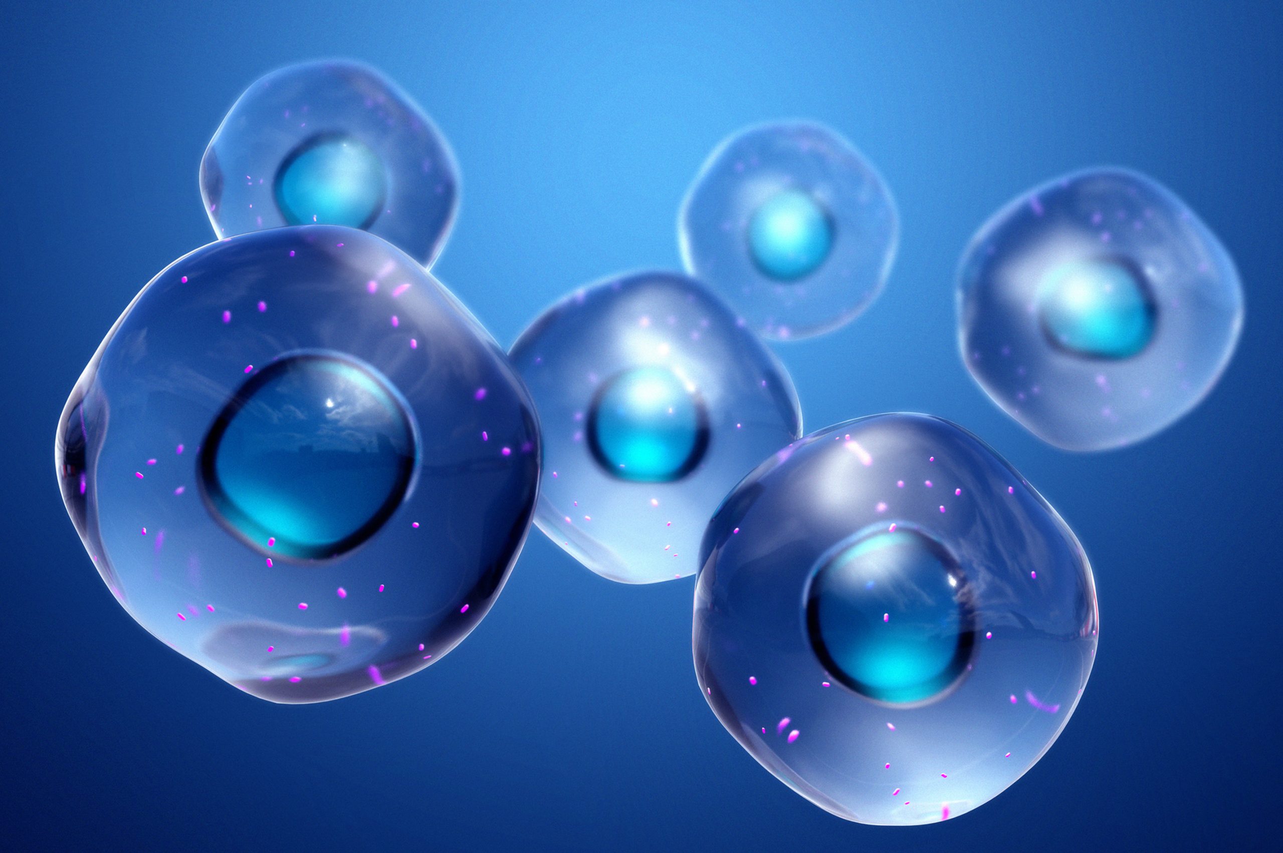 Methylation & Cellular Health