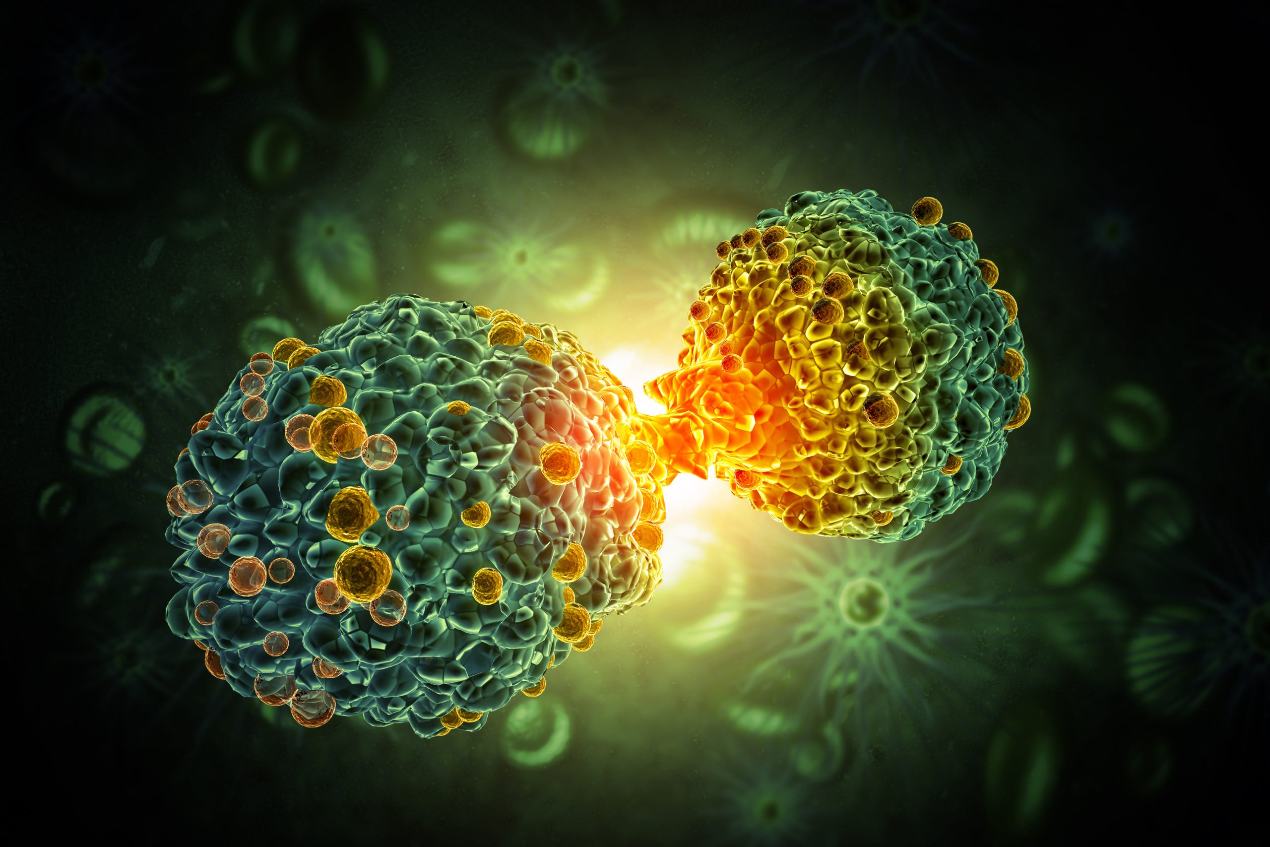 Modifiable Risk Factors of Cancer