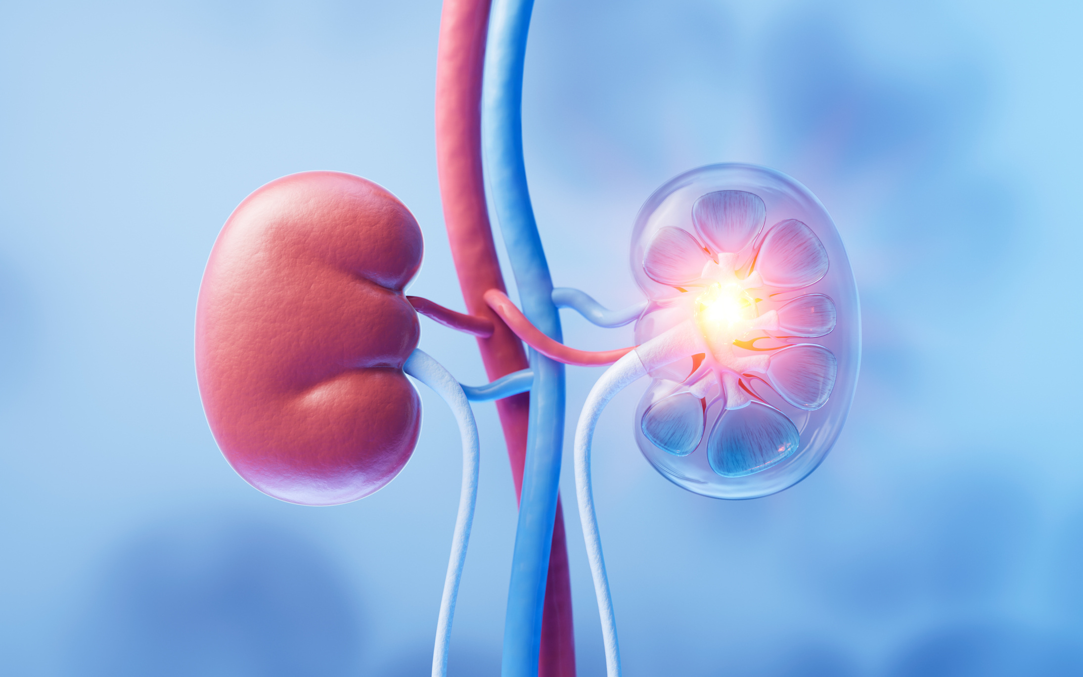 Carbs & Kidneys