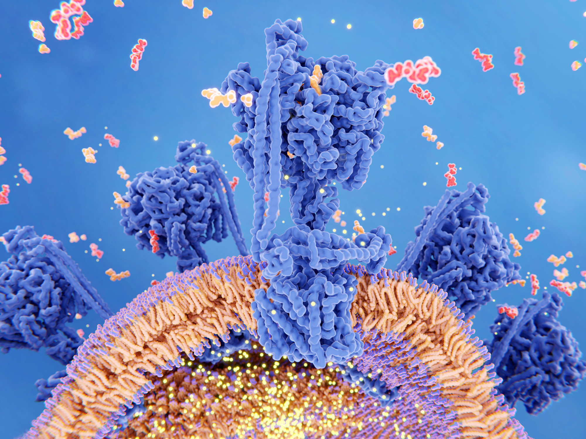 A Fresh Look at Neurodegeneration