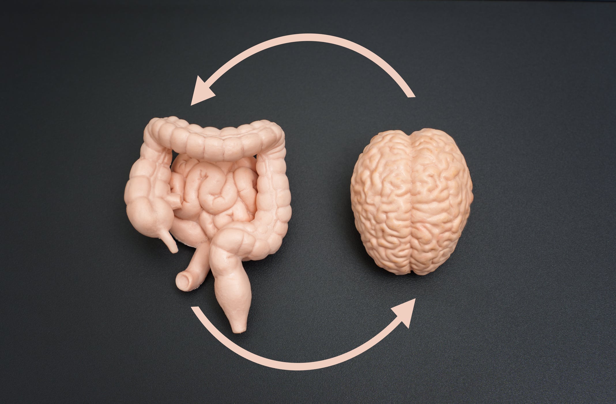 Gut Microbiome & Neurological Health