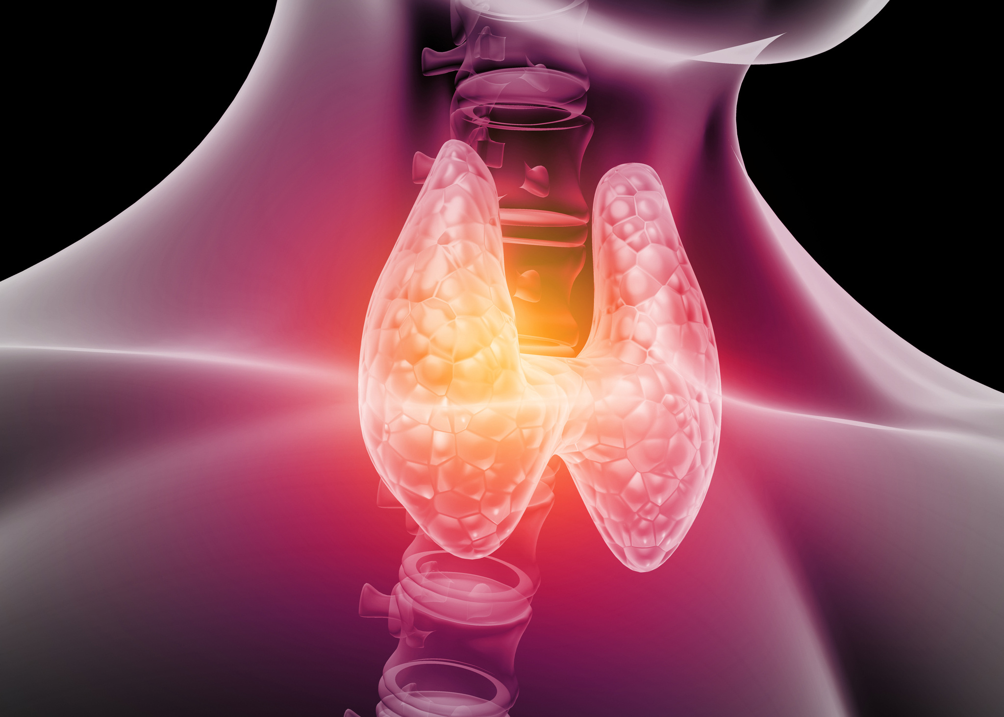 T3, T4 & Hypothyroidism