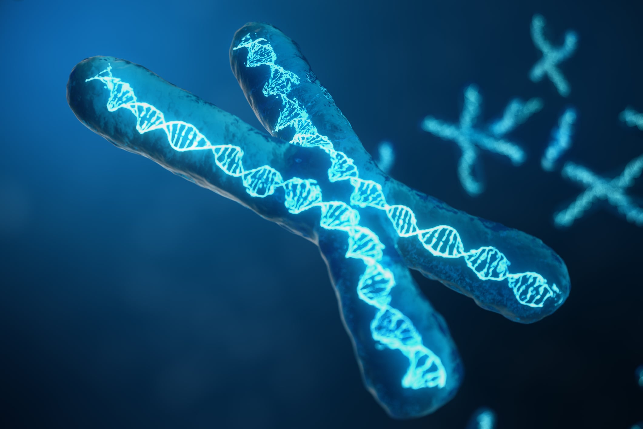 Vitamin D & Telomere Length