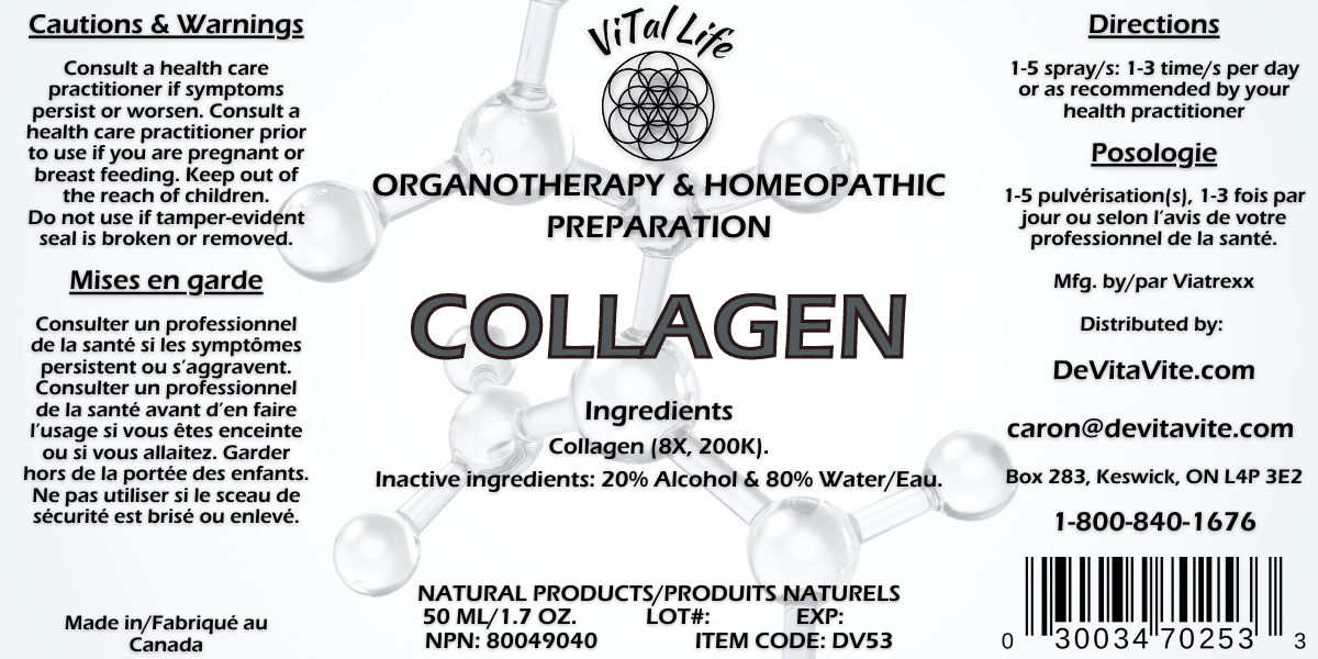 Vital Life-Collagen - Image 1