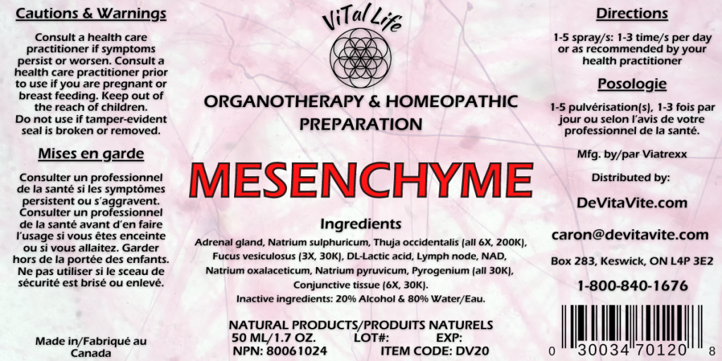 Vital Life-Mesenchyme