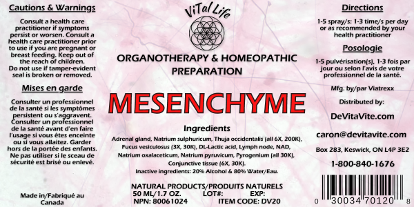 Vital Life-Mesenchyme