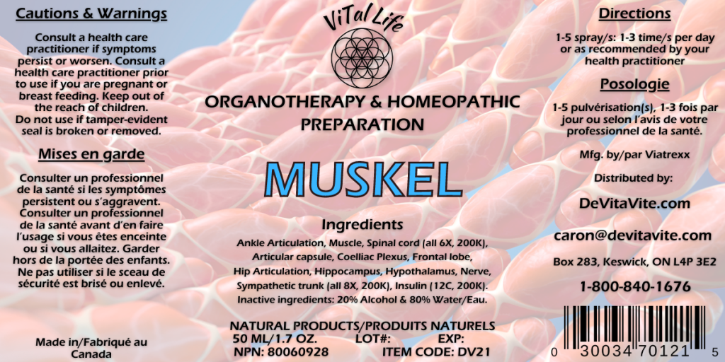 Vital Life-Muskel