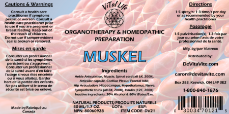 Vital Life-Muskel