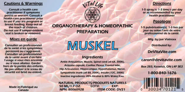Vital Life-Muskel