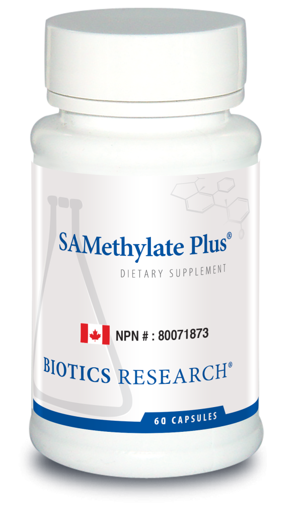 SAMethylate Plus NEW***