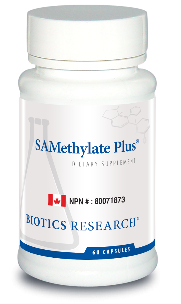 SAMethylate Plus NEW***