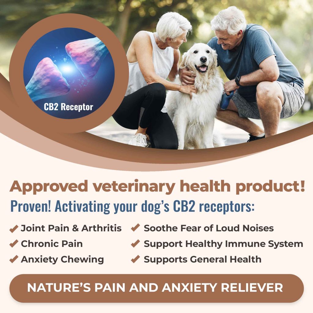 CB2 DOG-EASE HEMP SEED OIL