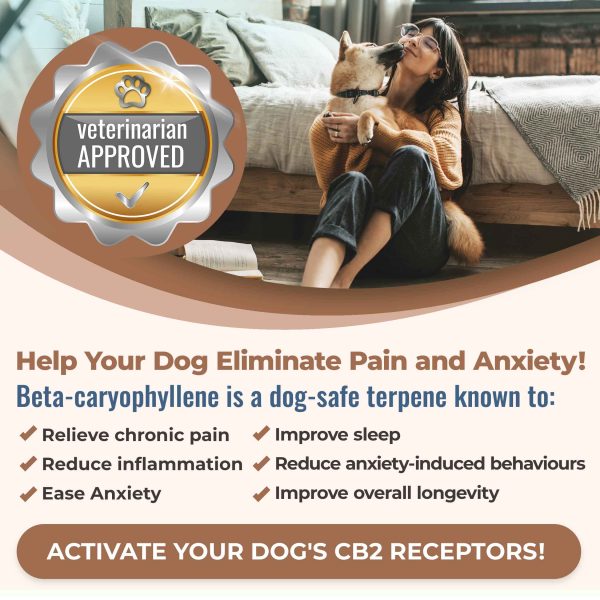 CB2 DOG-EASE HEMP SEED OIL - Image 3